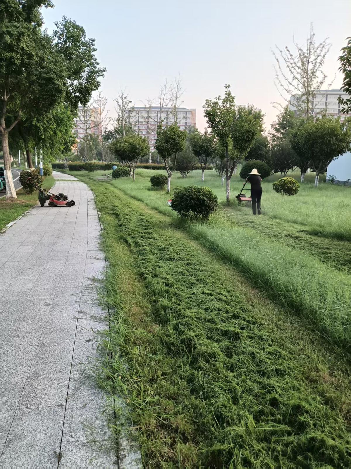 973d5d458ded40b9b69819631856a660.jpeg 973d5d458ded40b9b69819631856a660.jpeg