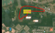关于相山校区部分地块补栽麦冬草项目调研公告